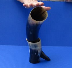 Polished Buffalo Drinking horn with Horn Stand 16 inches $30