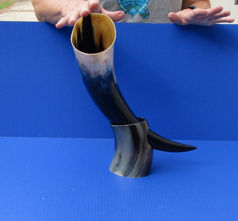 Polished Buffalo Drinking horn with Horn Stand