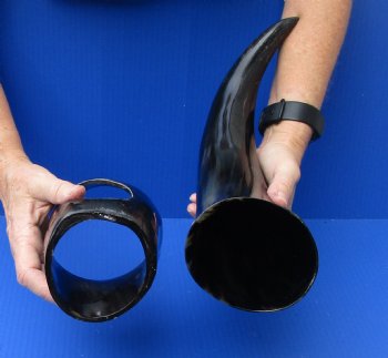 Polished Buffalo Drinking horn with Horn Stand 18 inches $30
