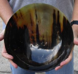 Buy this Polished Buffalo Horn, Ox Horn bowl 10 inches for $30