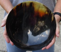 Polished Buffalo Horn, Cow Horn bowl 10 inches. Buy Now for $30