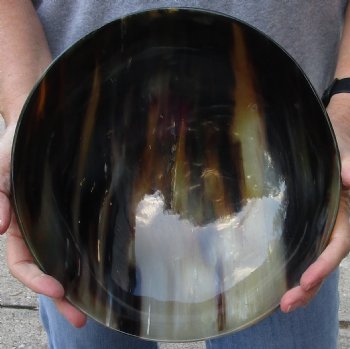 Polished buffalo horn bowl 10 inches - $30