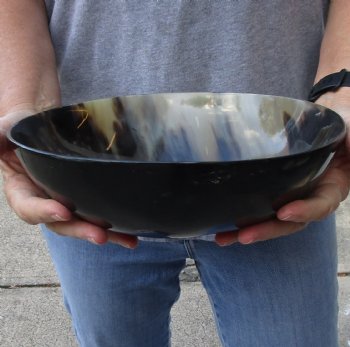Polished buffalo horn bowl 10 inches - $30