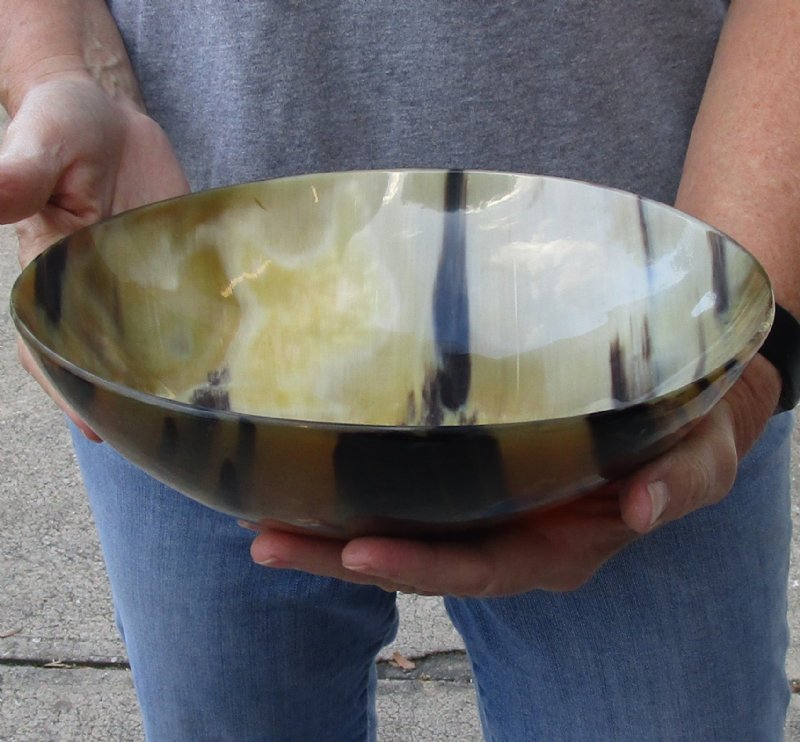 Polished buffalo horn bowl 10 inches 30