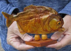 6-3/4 inch Real dried Piranha Fish on wood base - $31