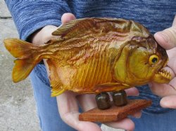 7 inch Real dried Piranha Fish on wood base - $31