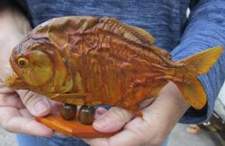 7 inch Real dried Piranha Fish on wood base - $31