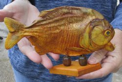 7-7/8 inch Real dried Piranha Fish on wood base - $42