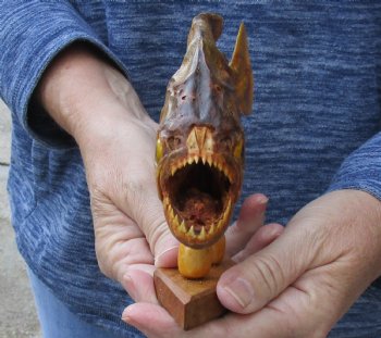 8-1/2 inch Real dried Piranha Fish on wood base - $42