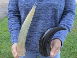 2 Polished Engraved...