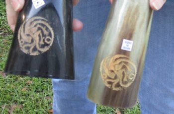 2 Polished Engraved Dragon Buffalo Horns - $38