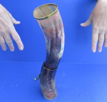 Carved Polished Buffalo Drinking horn and Horn Stand - $21