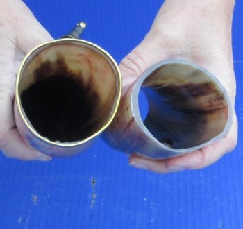 Carved Polished Buffalo Drinking horn and Horn Stand - $21