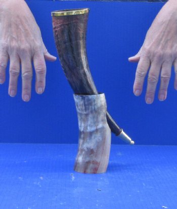 Carved Polished Buffalo Drinking horn and Horn Stand 12 inches $21