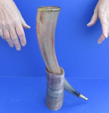 Carved Polished Buffalo Drinking horn and Horn Stand 15-1/2 inches $29