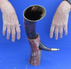 Carved Polished Buf...