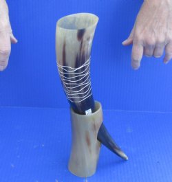 Carved Polished Buffalo Drinking horn and Horn Stand - $16