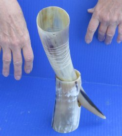 Carved Polished Buf...