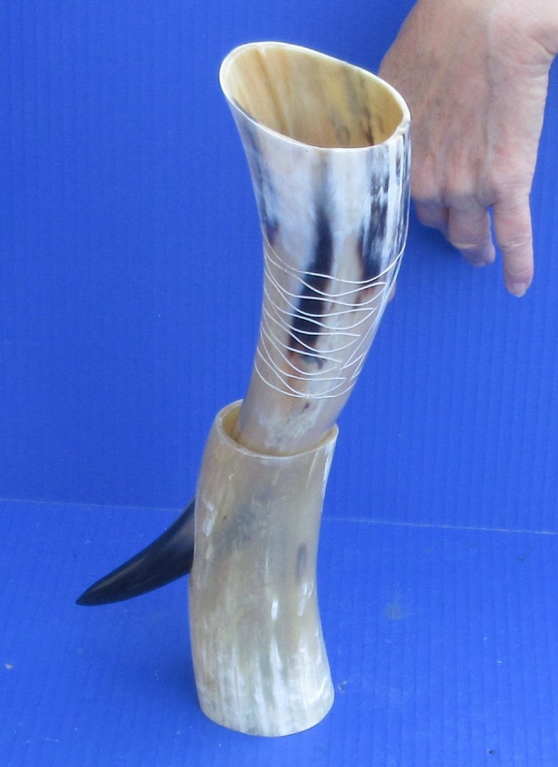 Carved Polished Buffalo Drinking horn and Horn Stand 23