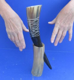 Carved Polished Buf...