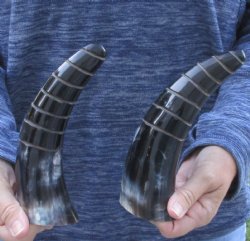 2 Polished Spiral C...