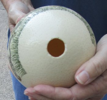5-3/4" African Scrimshaw Ostrich Egg with Leopards - $50