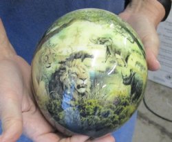 5-3/4 inch tall Decoupage Ostrich Egg with African Big 5 - $40