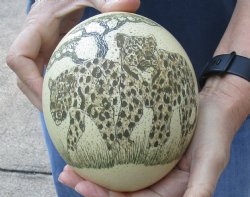 5-1/2" African Scrimshaw Ostrich Egg with Leopards - $50