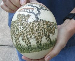 5-1/2" African Scrimshaw Ostrich Egg with Leopards - $50