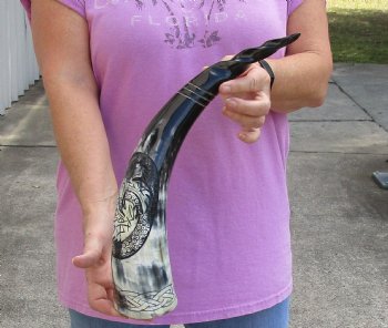 18 inch Polished Carved Bird Cattle/Cow horn - $26