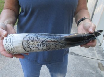 16 inch Polished Carved Bird Buffalo horn - $26