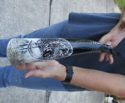 16" Polished Carved Bird Cattle/Cow Horn