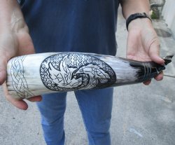 16" Polished Carved Bird Cattle/Cow Horn