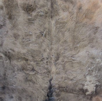 Black wildebeest skin rug, 56 X 43 for $125