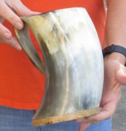 Polished Ox Horn Mug, Cow Horn Mug with wood base 7-1/2 inches. For sale for $32