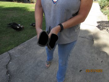 2 pc lot Semi polished buffalo horns 14 and 15 inch - $18