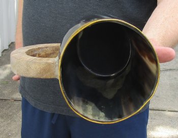 6" Polished Ox Horn Mug, Cow Horn Mug with rounded wood handle. Buy now for $30