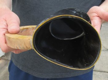 5-1/2" Polished Buffalo Horn Mug, Ox Horn Mug with rounded wood handle. For sale for $30