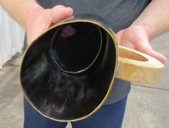 5-1/2" Polished Buffalo Horn Mug, Cow Horn Mug with rounded wood handle. For Sale for $30