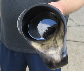 Polished Buffalo Horn Mug, Cow Horn Mug with carved wolf design 6" tall. Available to purchase for $32