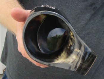 Polished Buffalo Horn Mug, Cow Horn Mug with carved wolf design 6-3/4" tall. For sale $16