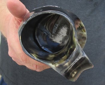 Polished Ox Horn Mug, Cow Horn Mug with carved wolf design 7" tall. For sale for $32