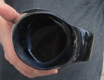Polished Buffalo Horn Mug, Ox Horn Mug with carved wolf design 6-1/2" tall. Buy now for $32