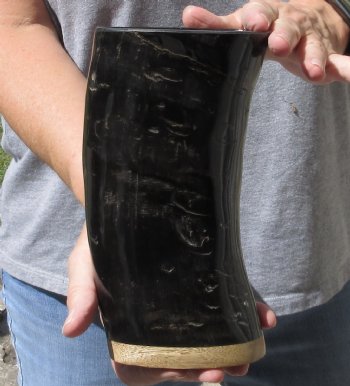 Polished Ox Horn Cup, Cow Horn Cup with wood base - Buy now for $20