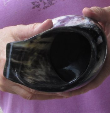 Polished Ox Horn Mug, Cow Horn Mug with wood base. Available for sale for $22