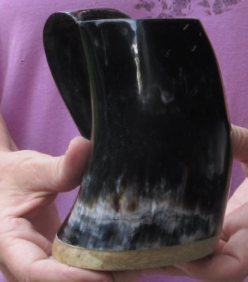Polished Ox Horn Mug, Cow Horn Mug with wood base. For sale now for  $22