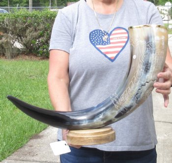 32 inch Carved Buffalo horn centerpiece - $65
