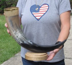 26 inch Carved Buffalo horn centerpiece with wood base - $60