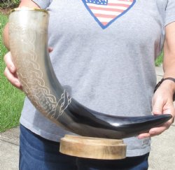 24 inch Carved Buffalo horn centerpiece with wood base - $60