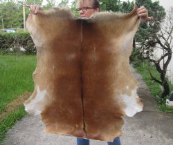 Real Goat Hide for sale -  35 inches - $39